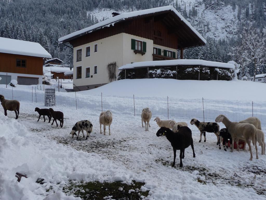Ferienwohnung Inge Gapp Gosau Exterior photo